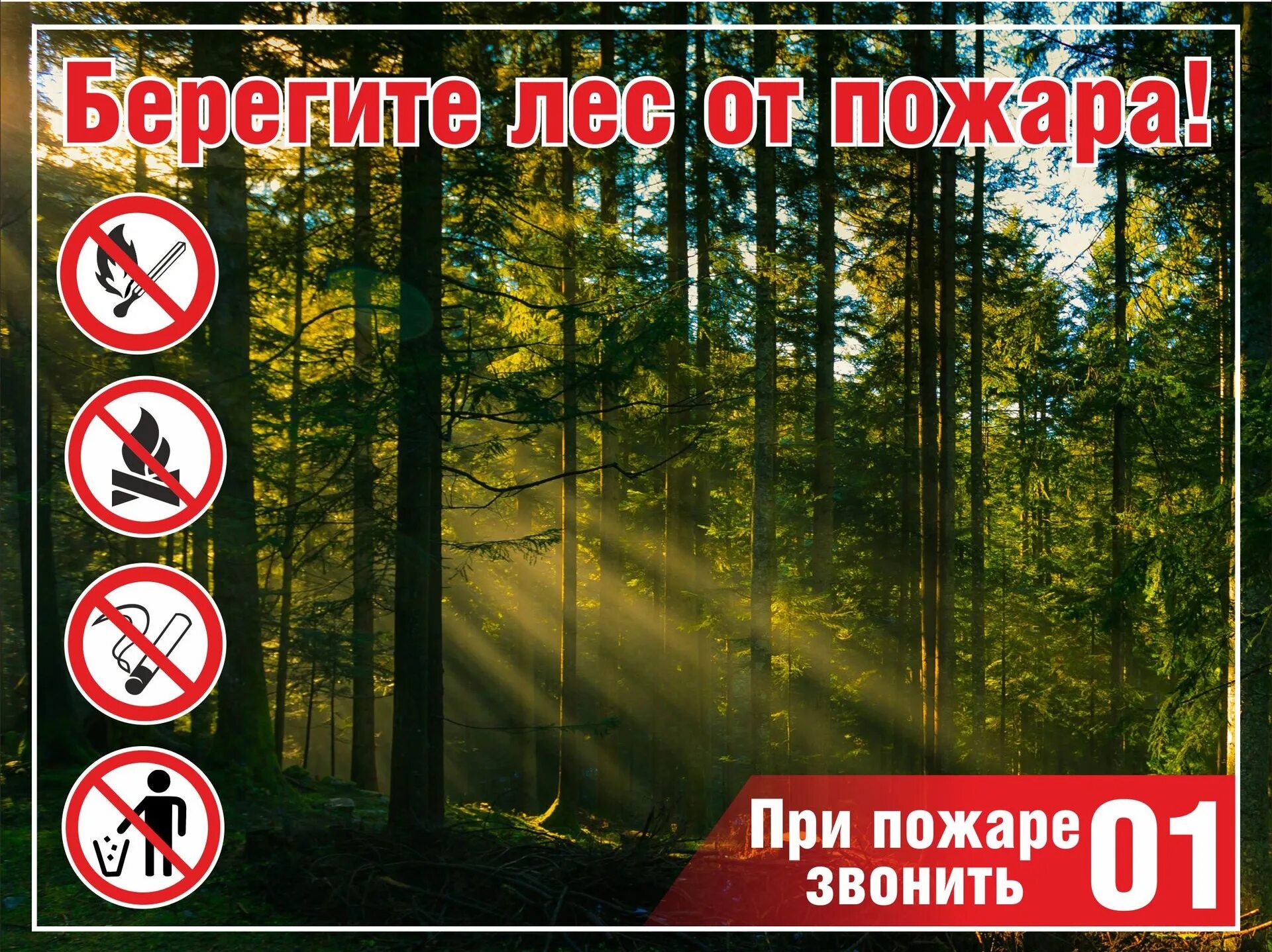 Берегите лес от пожара!.